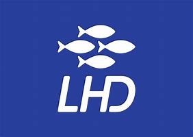L.H.D Limited